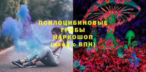 дмт Горняк