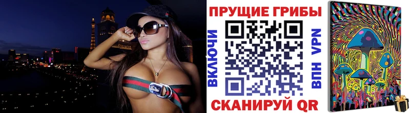 дарнет шоп  Волгодонск  Псилоцибиновые грибы MAGIC MUSHROOMS 