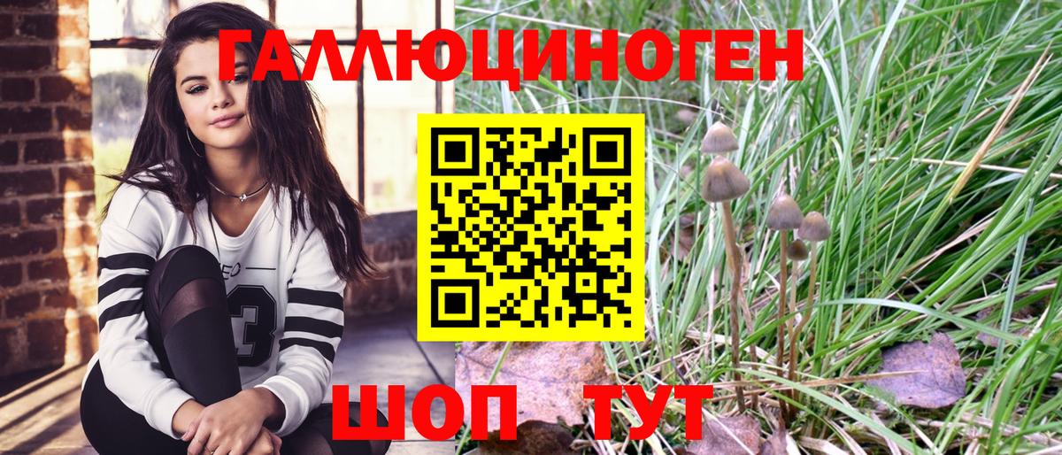 Псилоцибиновые грибы ЛСД Волгодонск