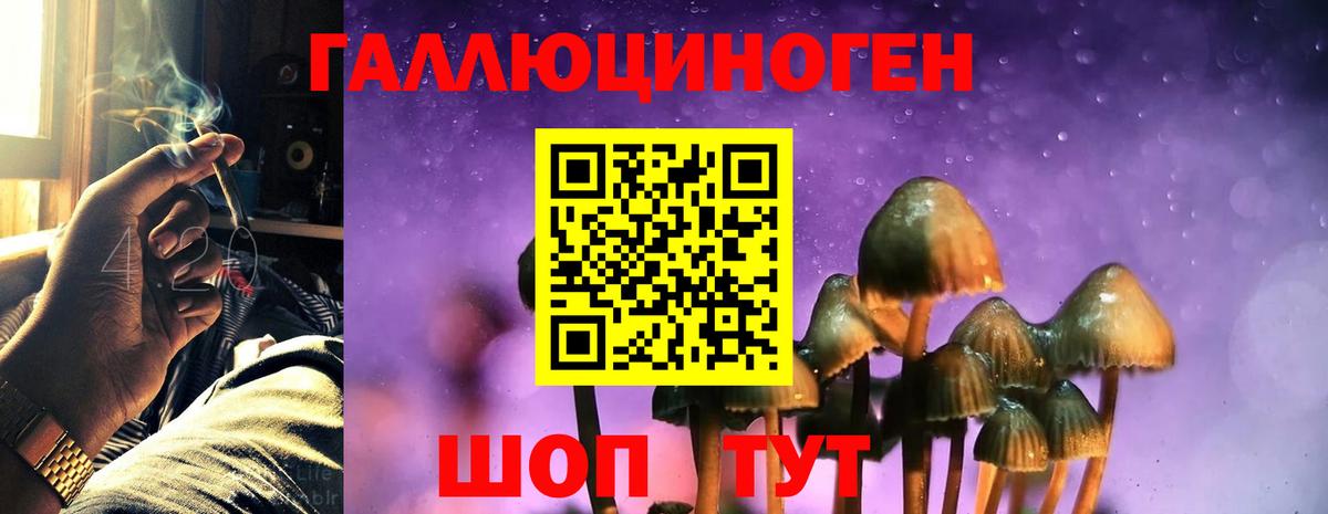 Псилоцибиновые грибы Magic Shrooms Волгодонск
