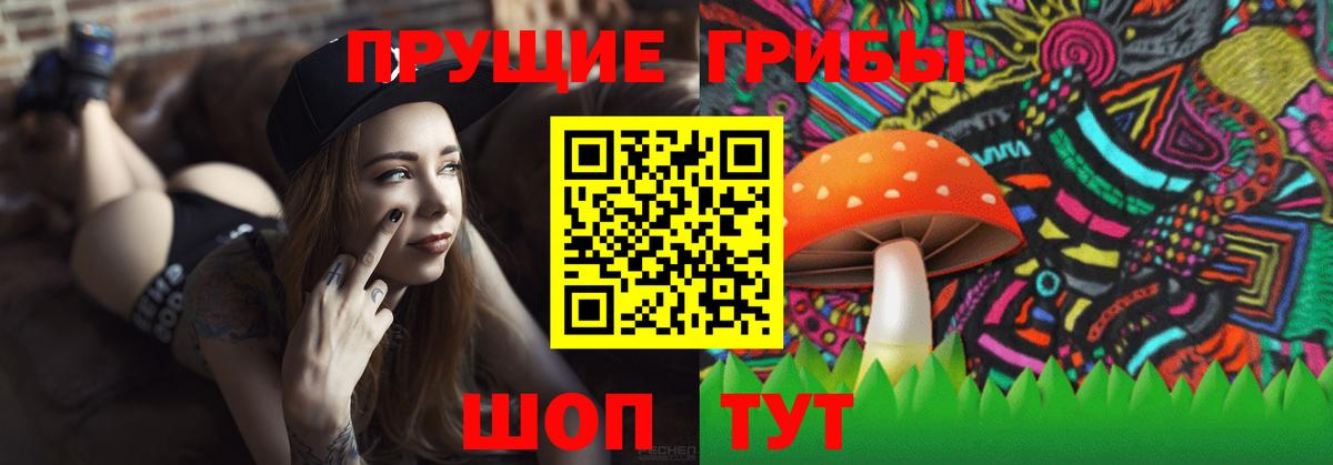 купить   Волгодонск  Галлюциногенные грибы Psilocybe 