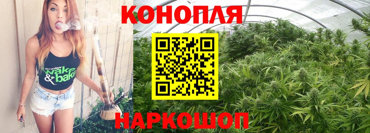 Бошки марихуана ГИДРОПОН Волгодонск